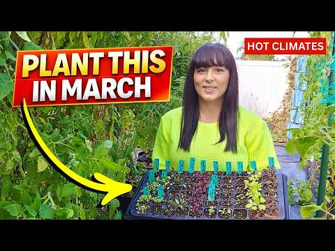 Plant These NOW Before the Heat Hits