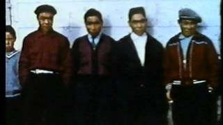 The Inbreds - Round 12 (High Quality)