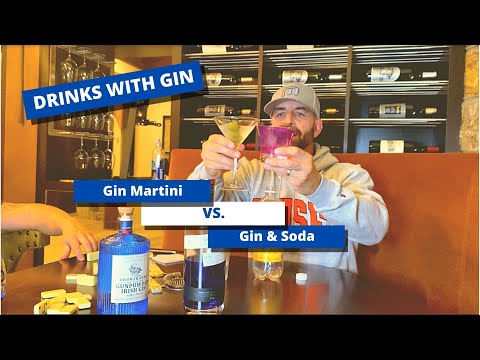 Drinks With Gin: Martini vs. Gin & Soda
