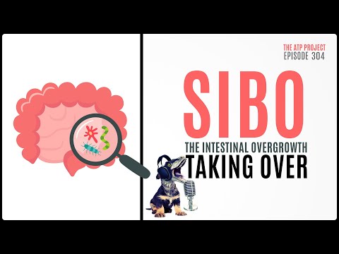 SIBO | Small Intestinal Bacterial Overgrowth - What is it?