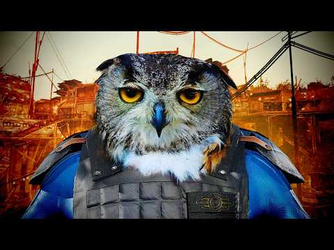 Tale of Two Wastelands Is Fallout at Its Peak