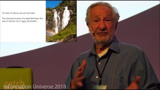 Edward Fredkin- Unknowable determinism- direction of time- extract