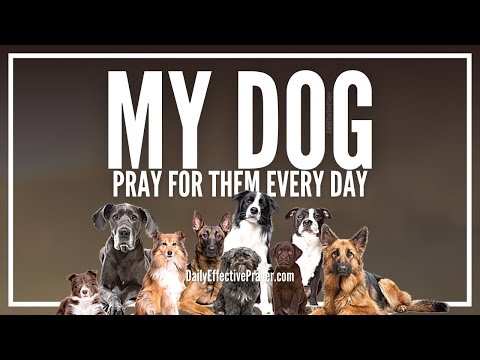 Prayer For My Dog | Prayer For Dogs Healing, Well Being (Cancer, Sickness, Etc) Video