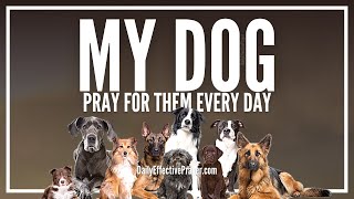 Prayer For My Dog - Prayer For Dogs Healing, Well Being (Cancer, Sickness, Etc)
