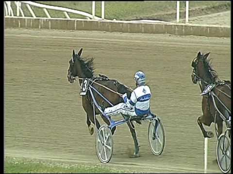 Trotto 24/02/2017 - 3ª corsa