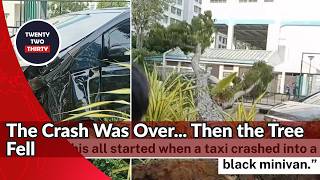 Tree Collapses Minutes After Yishun Crash and Blocks Road What Can We Learn?