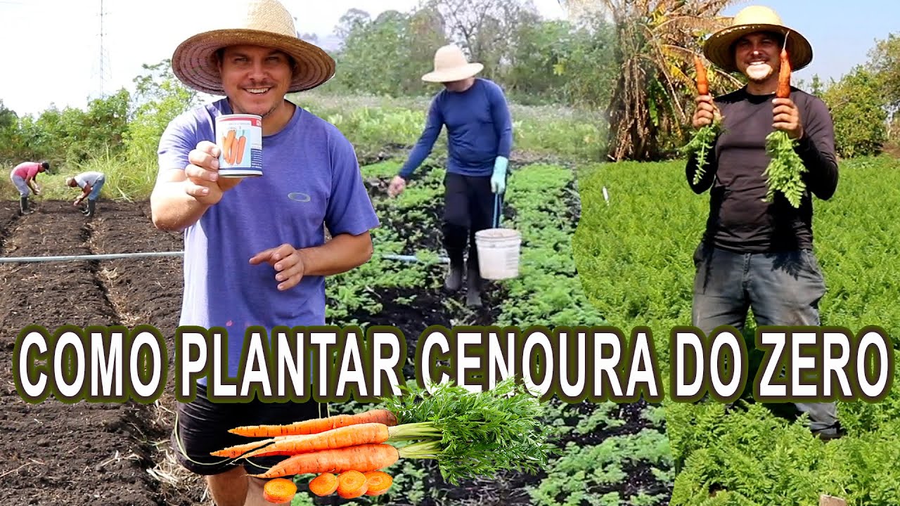 "CENOURA" COMO PLANTAR, CUIDAR, COLHER E FATURARR$$ - AGRICULTURA FAMILIAR NO CULTIVO DE CENORA