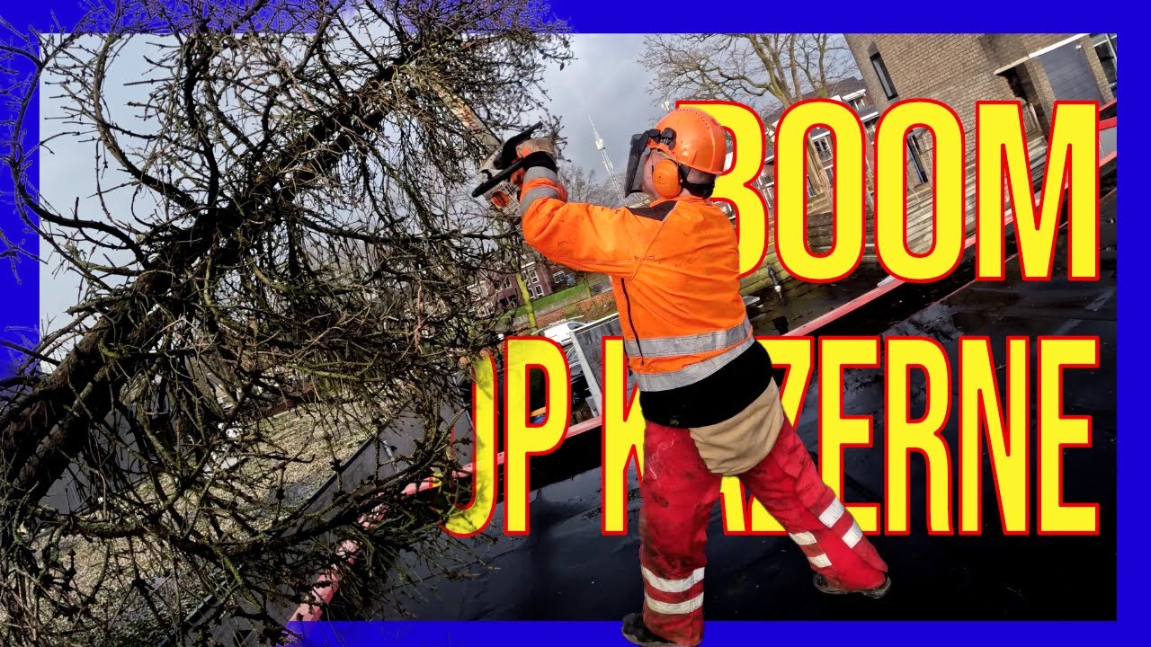 😅 Boom op de Kazerne: Brandweer Lunteren rukte uit voor zichzelf.