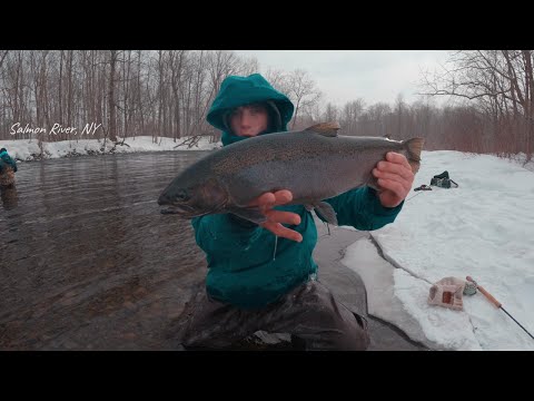 Winter Steelhead on the Salmon River (Pulaski, NY)