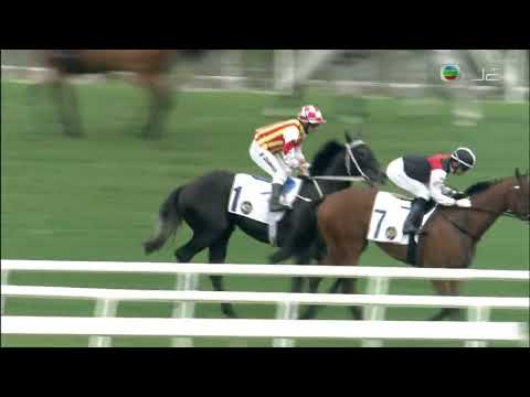 2021/22 (682) - Circuit Nine (電路九號) - 蔡明紹 (增程兩戰兩勝練馬師告東尼從練 1400th Wins)