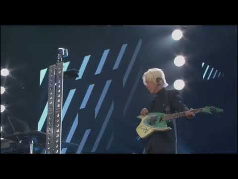 核P-MODEL - Zebra - Live回=回