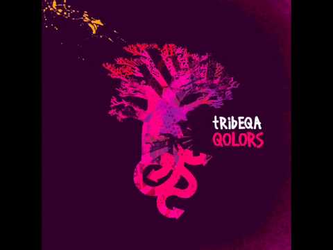 Tribeqa - Groove Band