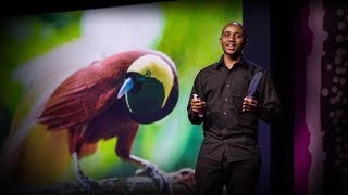 For the love of birds | Washington Wachira