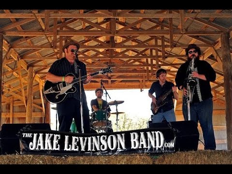 Vulture In My Sky by Jake Levinson Band