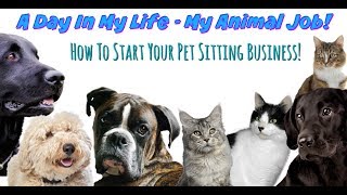 A DAY IN MY LIFE - MY ANIMAL JOB | Pet Sitting & How to Get Started! by Maddie Smith