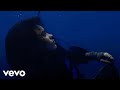 Billie Eilish BITTERSUITE Music Video