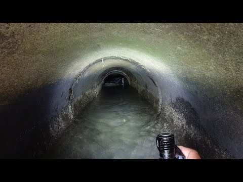 SE03EP083 - BACK to BACK! PALOS sa ILALIM ng MANHOLE | PALOS HUNTING CHALLENGE BEGUN!