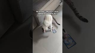 O QUE VOCÊ FARIA? #pokemon #pokemontcg  #pokemoncards