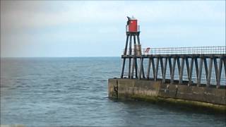 preview picture of video 'Whitby jumping off the piers. inc landing on a dog, most dangerous red hut and the wife joins in'