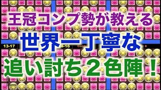 【パズドラ：解説】王冠コンプ勢が教える追い討ち2色陣　最大火力配置講座！