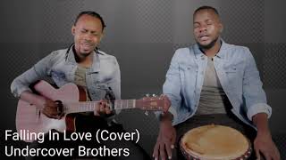 Undercover Brothers COVER Mash
