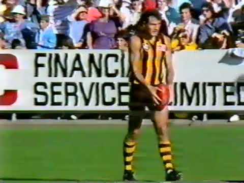 1988 Round 4 Hawthorn Vs Fitzroy at Princes park Channel 7 Saturday Football of brief highlights of