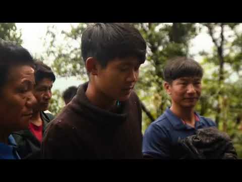 Hunting ! Nepal’s ! Mad ! Honey That Makes You Hallucinate   HONEY HUNTERS