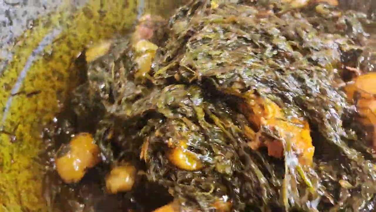 Delicious ERU!!!! 😋😋😋🤤🤤🤤