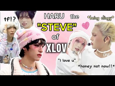 HARU "THE STEVE" OF XLOV !!! 