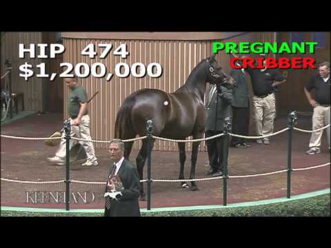 2015 November Breeding Stock Sale: Hip 474 - Wonderfully (IRE)