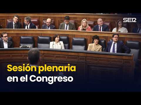 Sesión plenaria en el Congreso (25/02/2026)
