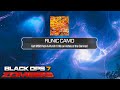 We Unlocked The Pack A Punch Camo In Zombies