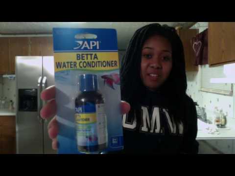 Vlog: Setting up my betta fish tank