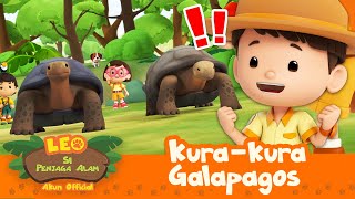 Download lagu LOMBA KURA-KURA! Siapa yang akan MENANG?! 🐢 |  Kura-kura Galapagos | Leo Si Penjaga Alam | #minisode mp3