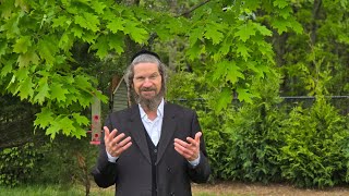 שחרר את מלוא הפוטנציאל שלך עם The Possible You! סמינרים של האחד והיחיד ר' יום טוב גלאזר