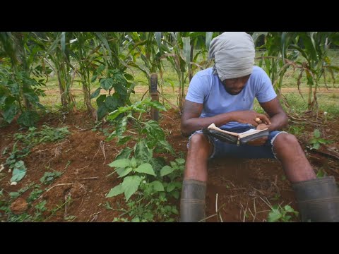 Dahvid Slur - Positive Mindset (Official Music Video)