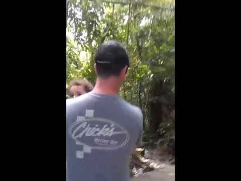 Hiking to Mina Falls @ El Yunque Tropical Rainforest (PR Trip '13 day 3)