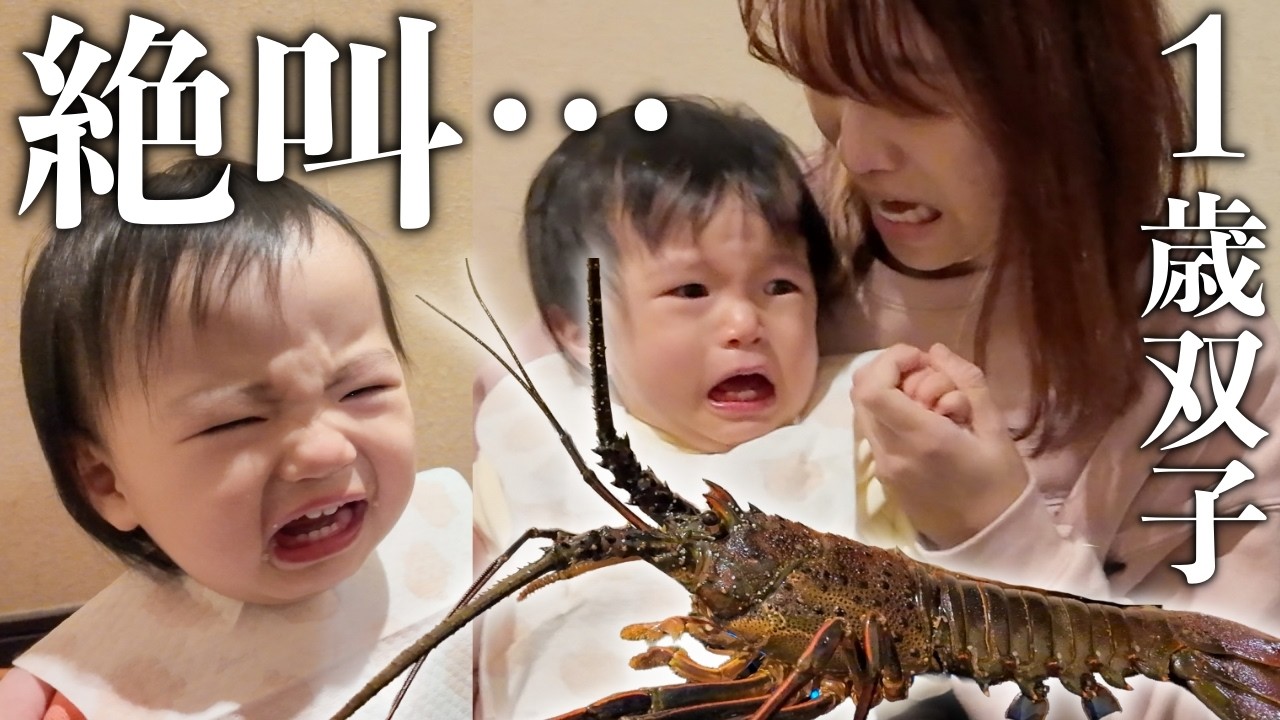 1歳双子と徳島旅！楽しい家族旅行がまさかの展開に…