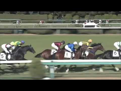 2019.12.15 2yo Newcomer (JPN) - Verdite