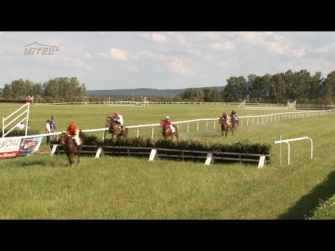 Dostihy  Mimoň 2. 6. 2018