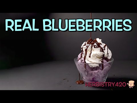 🍦 Creamy Blueberry Ice Cream (Better Than Store-Bought!) | Homemade Recipe