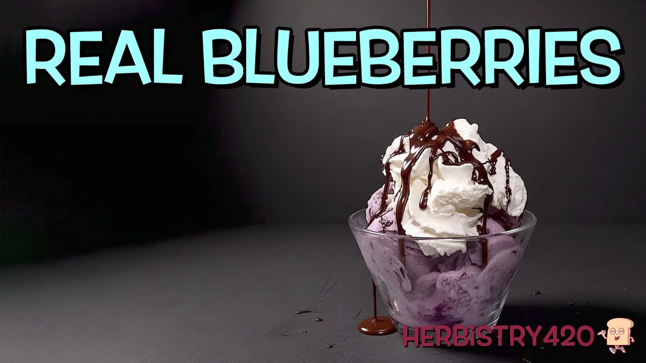 Blueberry Ice Cream Recipe — 5 Steps to Creamy Perfection