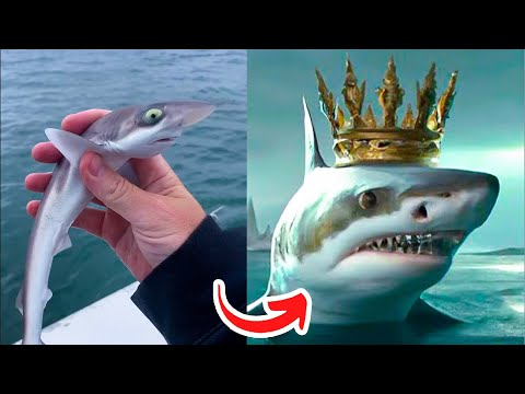 Before & After Animals Growing Up. Amazing Animal Transformation 💥 #short #tiktok #animals