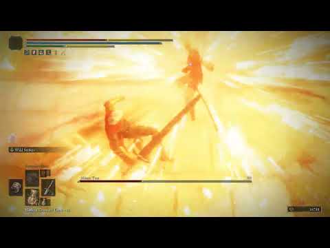 I accidentally made the hardest anime fight I've ever seen in Elden Ring