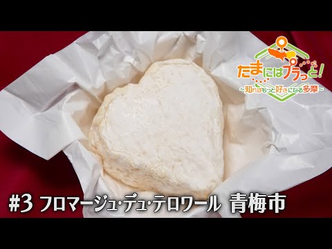 「たまにはプラっと！」　2024年4月19日放送