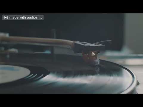 Dub Phizix, Strategy - The Editor