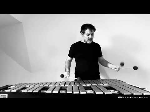 Blues in F - Vibraphone Solo - Nicolas Mathuriau