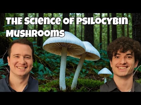 EVERYTHING You NEED To Know About Psilocybin Mushrooms!
