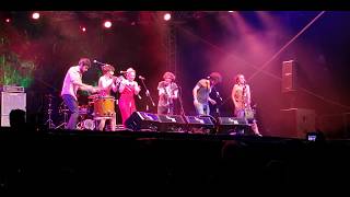Rainforest World Music Festival (RWMF) 2019: San Salvador, France