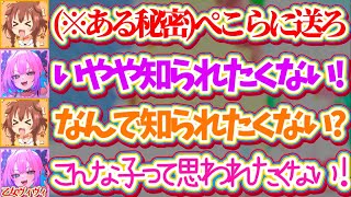 【※ぺこら視聴禁止】『ぺこらには絶対に知られたくない秘密』をころさんに握られてしまうも、その理由があまりにも乙女すぎるヴィヴィw(ぺこヴィヴィてぇてぇ)【戌神ころね/兎田ぺこら/綺々羅々ヴィヴィ】